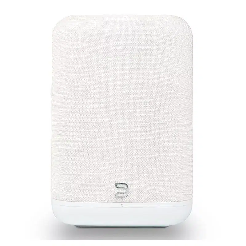 Bluesound PULSE FLEX