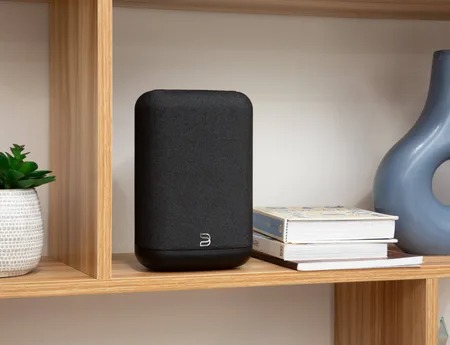 Bluesound PULSE FLEX